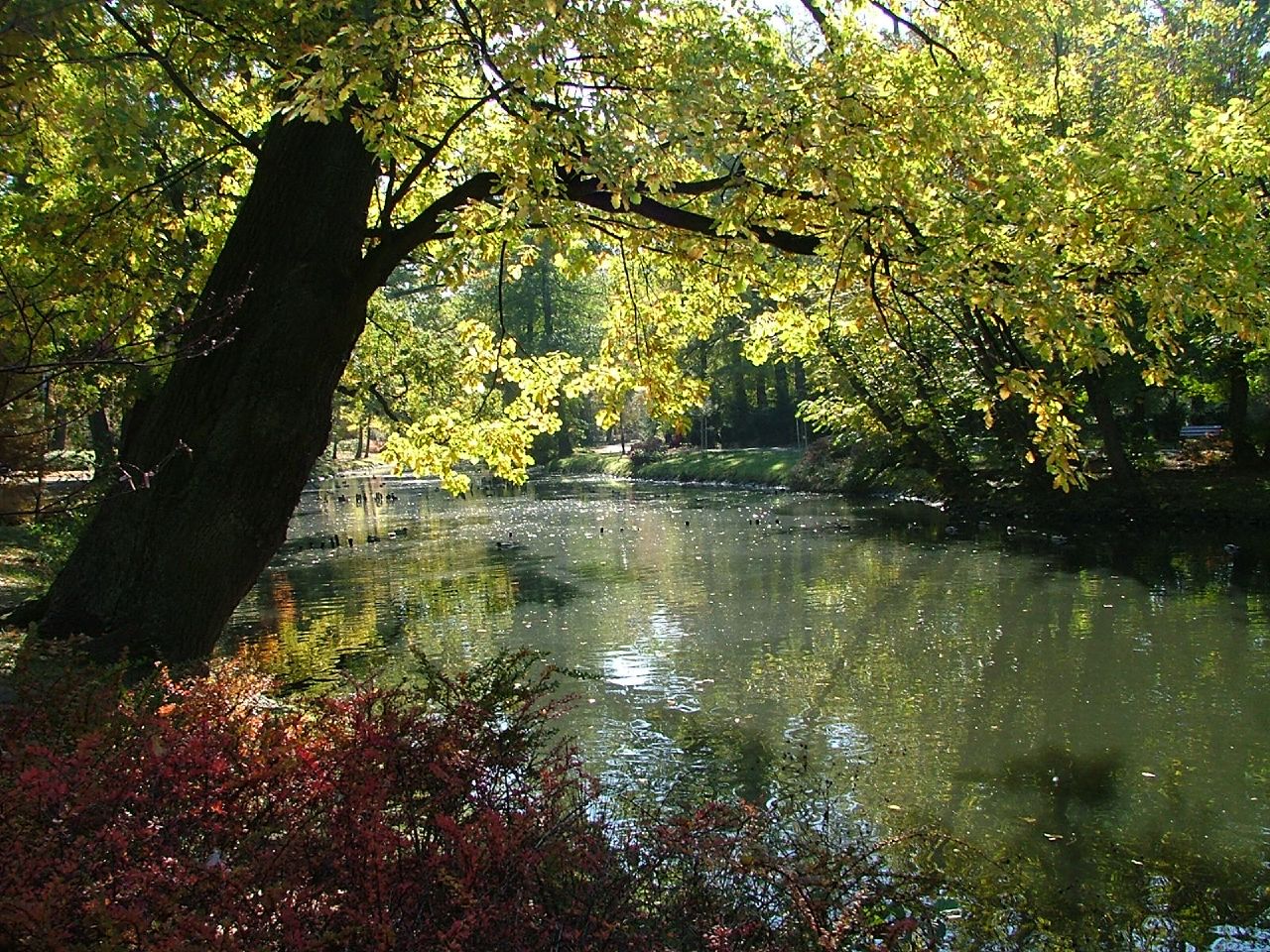 Wrocławski Park Wiedzy